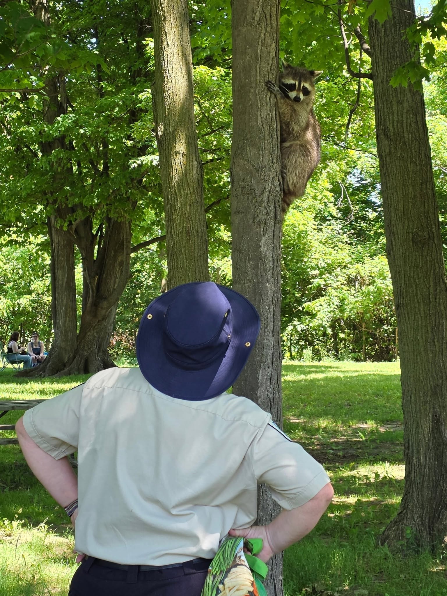 Sopher Creek Wildlife Rescue - Guest Speaker