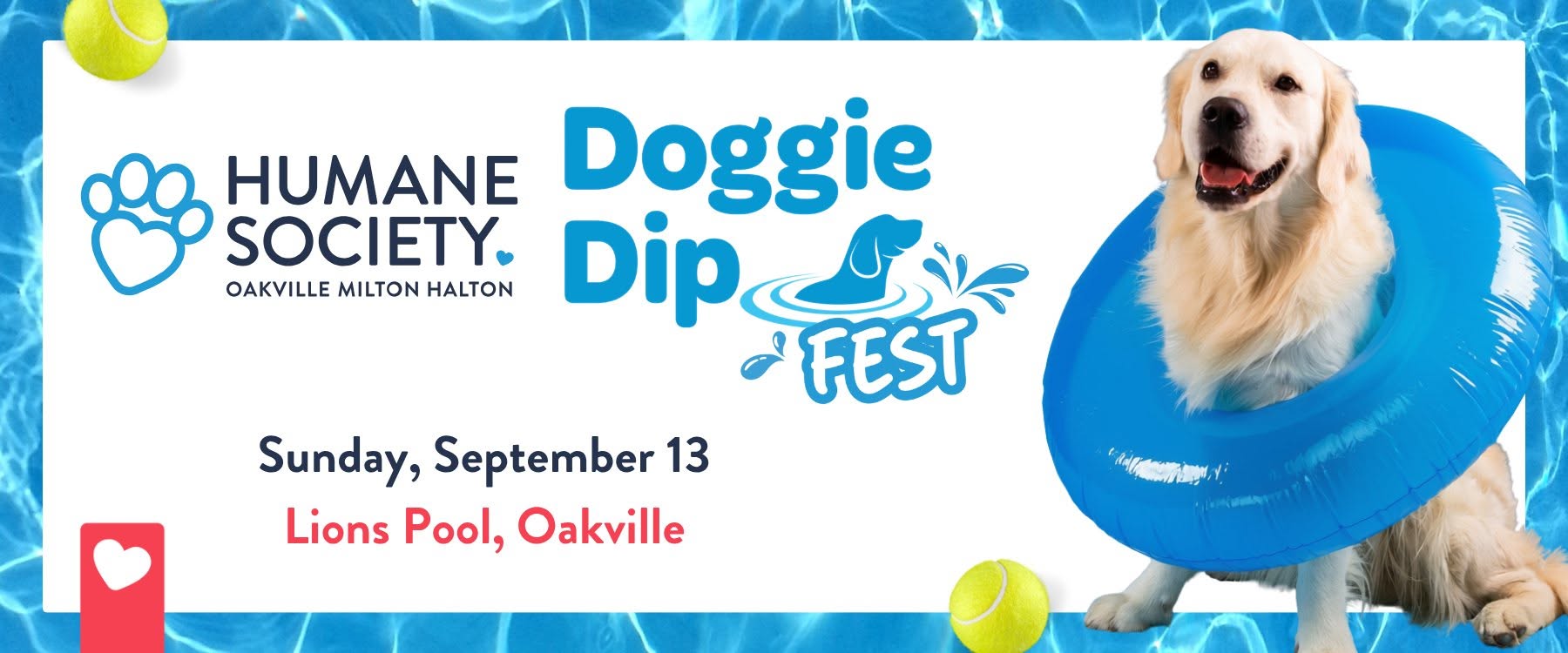 Doggie Dip Fest -- Oakville
