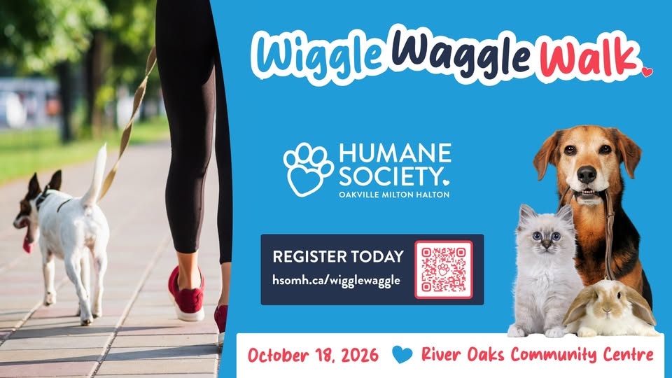 Wiggle Waggle Walk 2026