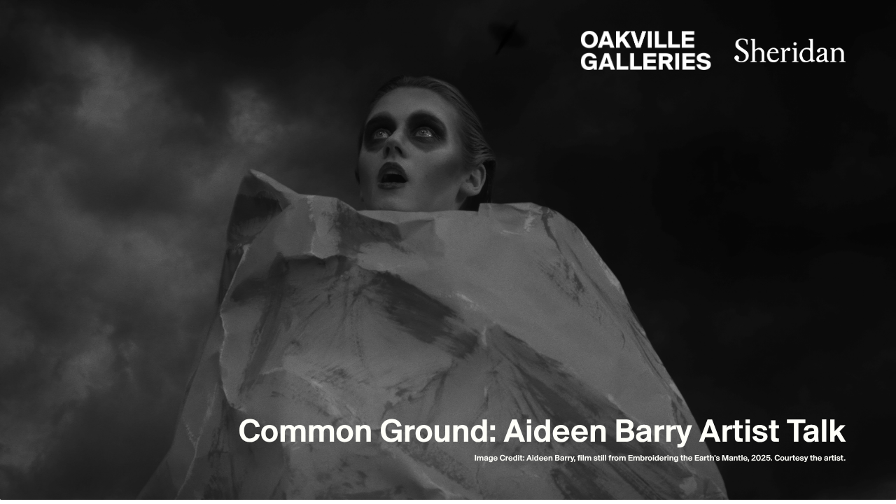 Common Ground: Aideen Barry Artist Talk